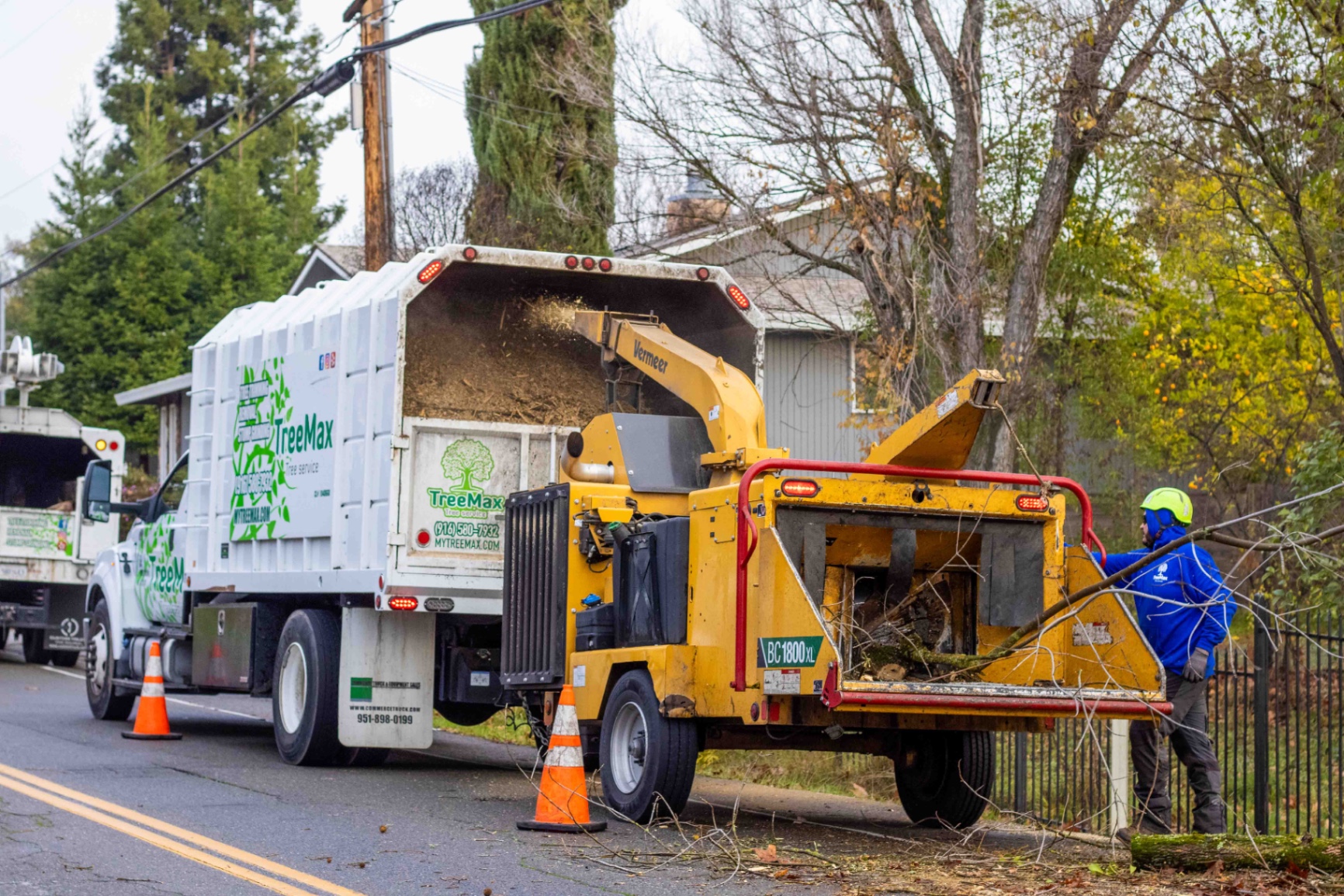 TreeMax crew providing tree service in Roseville CA