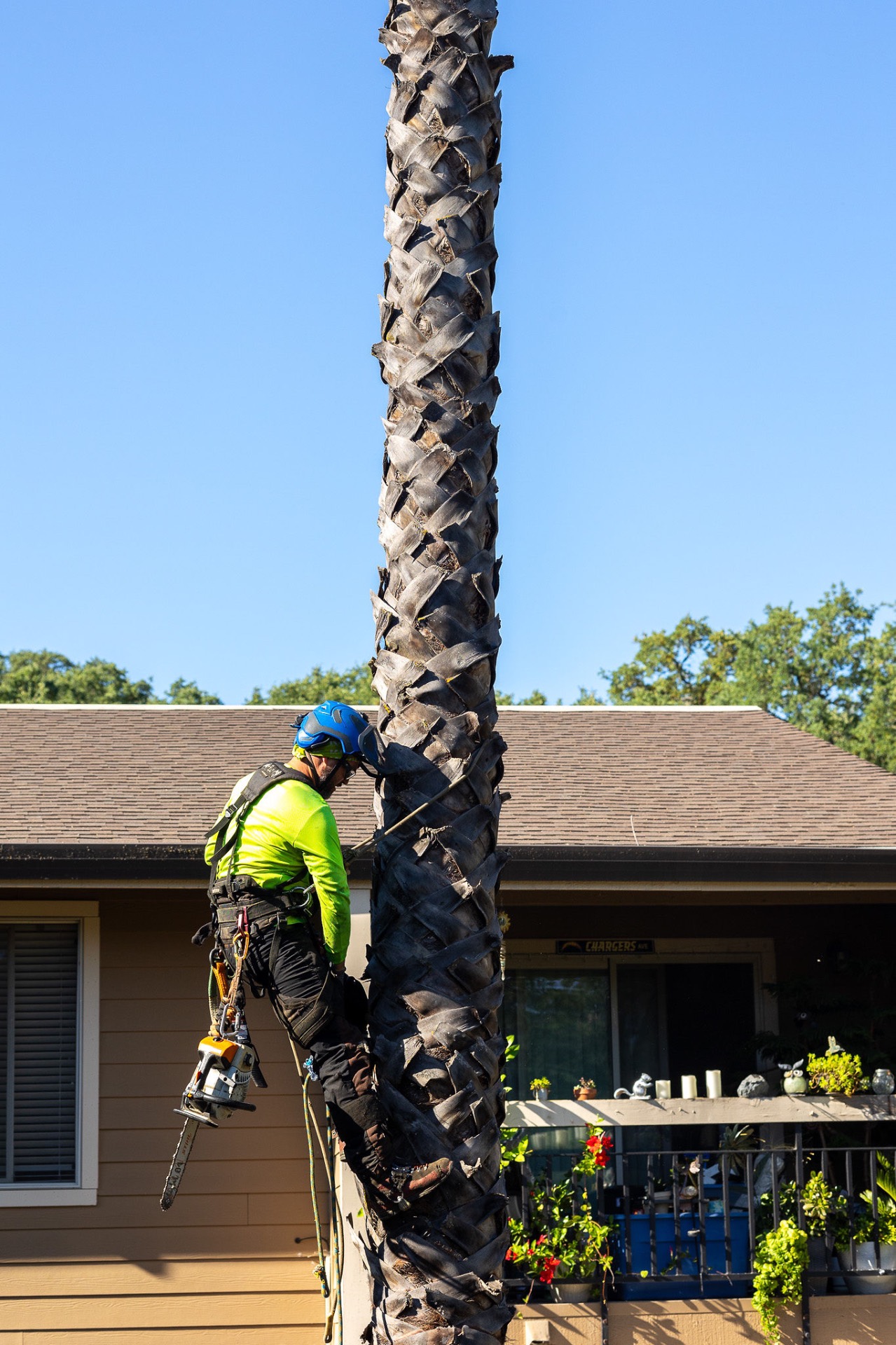 TreeMax truck and chipper for lot clearance work