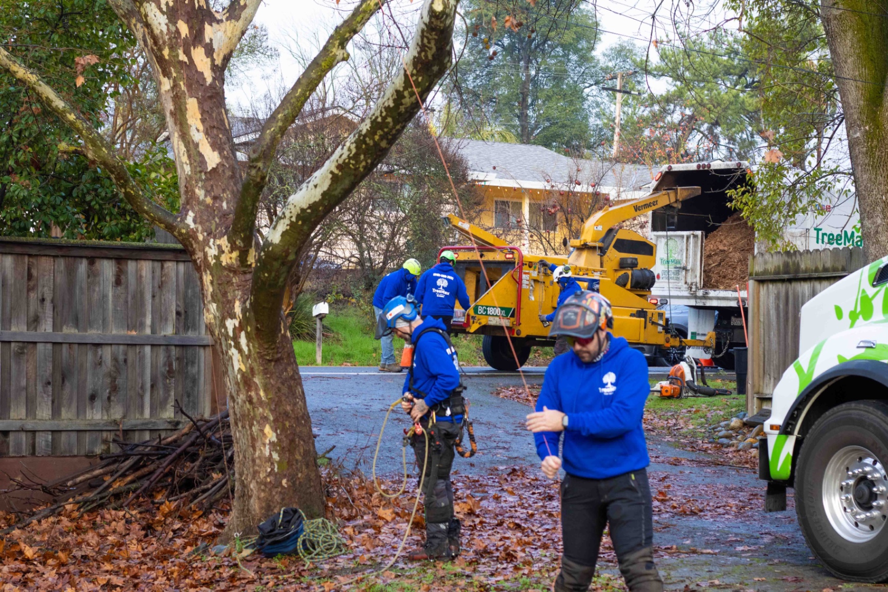 ISA-trained arborist performing tree risk assessment
